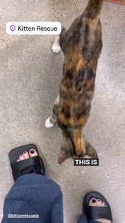 Jenna Fischer feet photo thumbnail