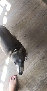 Jenna Marbles feet photo thumbnail