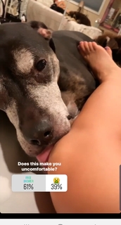 Jenna Willis feet photo 1