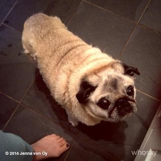 Jenna von Oÿ feet photo thumbnail