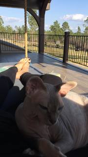 Jennie Garth feet photo thumbnail