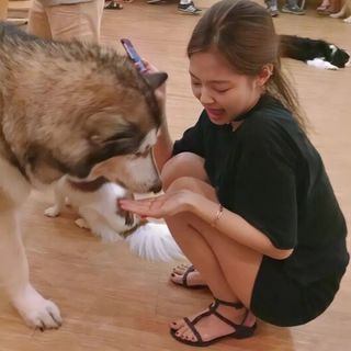 Jennie Kim feet photo thumbnail