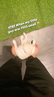 Jennifer Aniston feet photo thumbnail