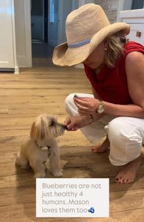 Jennifer Ashton feet photo 18
