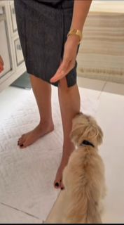 Jennifer Ashton feet photo 16