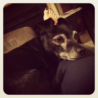 Jennifer Coffey feet photo thumbnail