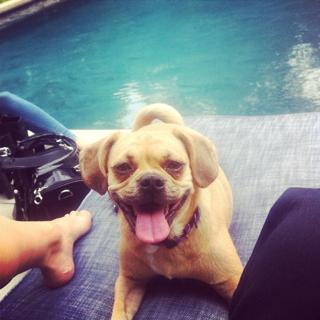 Jennifer Holland feet photo thumbnail