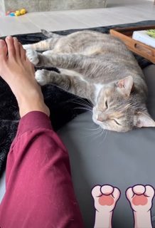 Jennifer Holland feet photo thumbnail