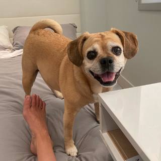 Jennifer Holland feet photo thumbnail