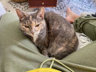 Jennifer Holland feet photo thumbnail