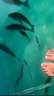 Jennifer Lahmers feet photo 13