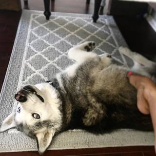 Jennifer O'Dell feet photo thumbnail