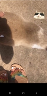 Jennifer Reyna feet photo 13