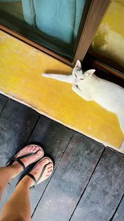 Jennifer Widerstrom feet photo 15