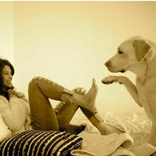 Jennifer Winget feet photo thumbnail