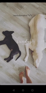 Jennifer Winget feet photo thumbnail