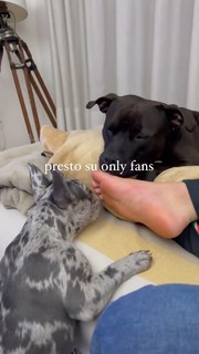 Jenny De Nucci feet photo 5