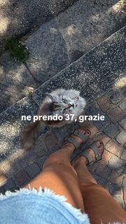 Jenny De Nucci feet photo 3