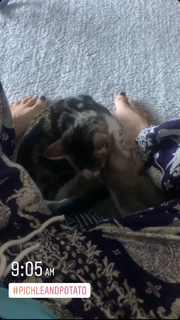 Jenny Milkowski feet photo 7