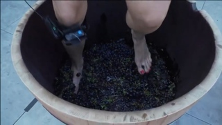 Jenny Milkowski feet photo 9
