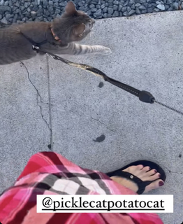 Jenny Milkowski feet photo 8