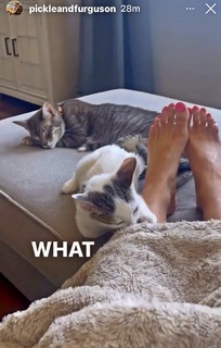 Jenny Milkowski feet photo 17