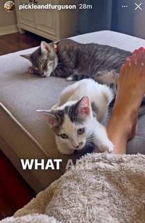 Jenny Milkowski feet photo 15