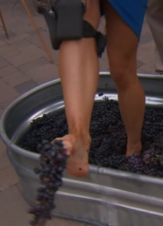 Jenny Milkowski feet photo 16