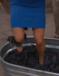 Jenny Milkowski feet photo 13