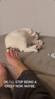 Jenny Milkowski feet photo 6