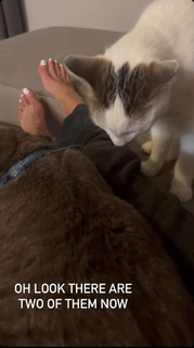 Jenny Milkowski feet photo 5