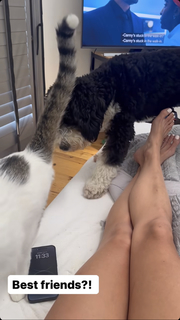 Jenny Milkowski feet photo 3