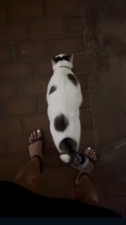 Jenny Milkowski feet photo 4
