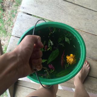 Jenny Mollen feet photo 5