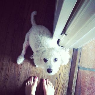 Jenny Slate feet photo thumbnail
