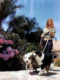 Jeri Ryan feet photo thumbnail