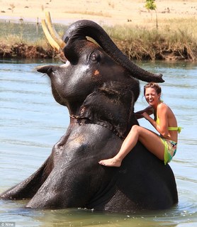 Jesinta Campbell feet photo 6