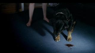 Jess Weixler feet photo 13