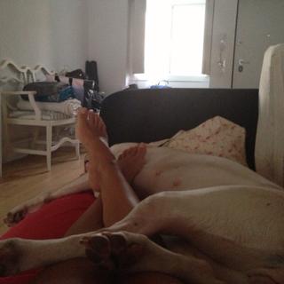 Jessica Athayde feet photo 9