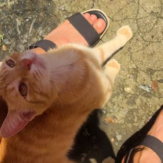 Jessica Camacho feet photo thumbnail