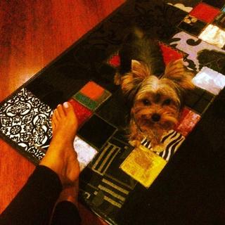 Jessica Cediel feet photo 9