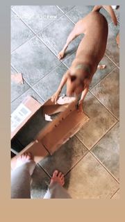 Jessica Clements feet photo 14