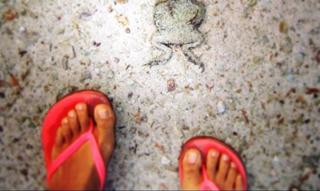 Jessica Decote feet photo 14