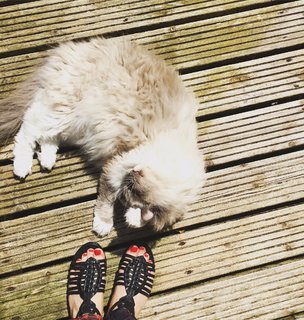 Jessica Fox feet photo 17