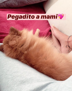 Jessica Goicoechea feet photo thumbnail