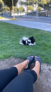 Jessica Goicoechea feet photo thumbnail