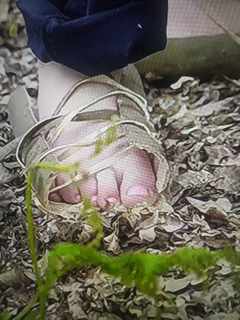 Jessica Knappett feet photo 2