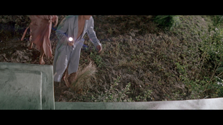 Jessica Lange feet photo thumbnail