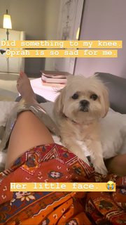 Jessica Lu feet photo 9