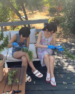 Jessica Lu feet photo 6